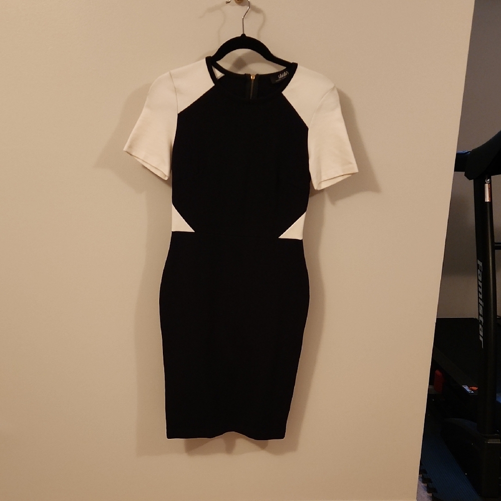 Lulu's Chic Black and White Mini Dress